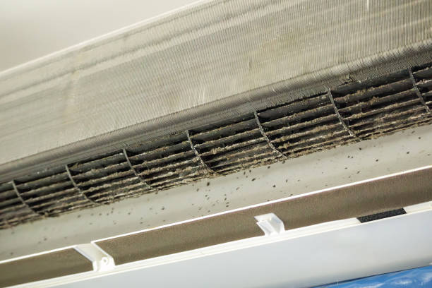 Best Ductwork Cleaning Services  in Shandon, CA